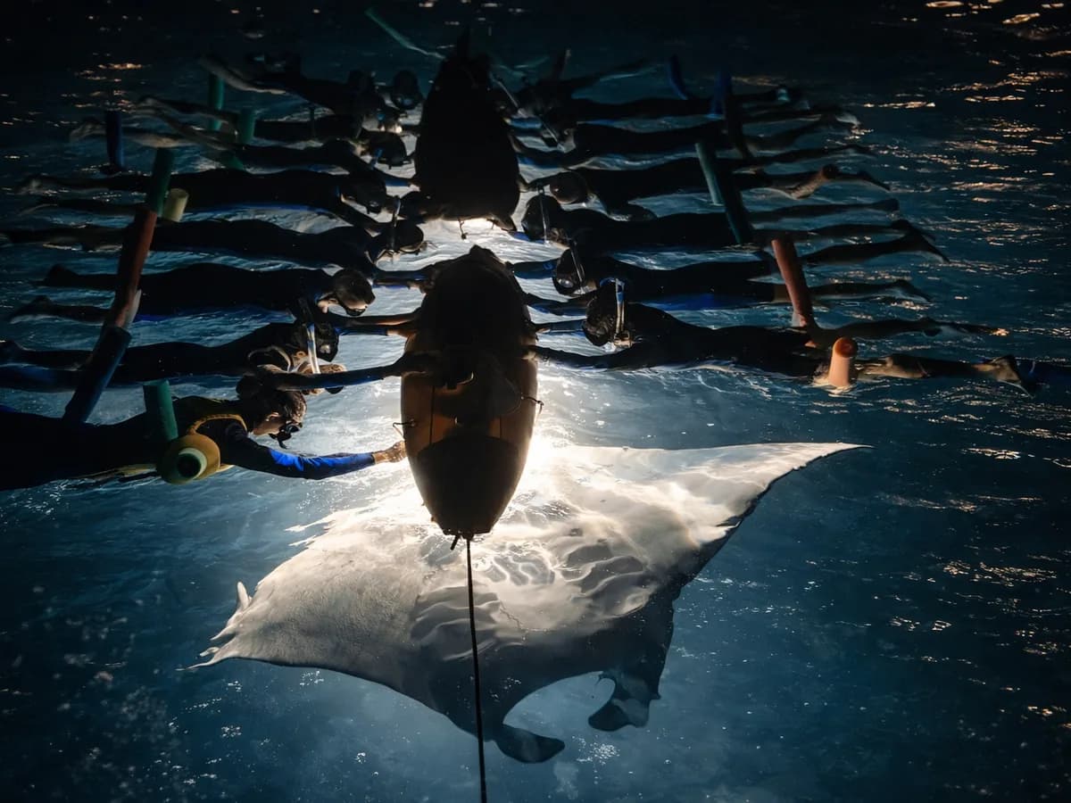 Snorkeling Manta Bay gallery image 3
