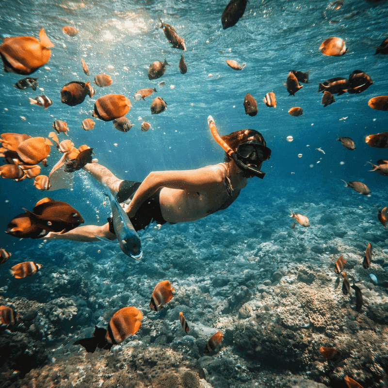 Snorkeling Manta Bay