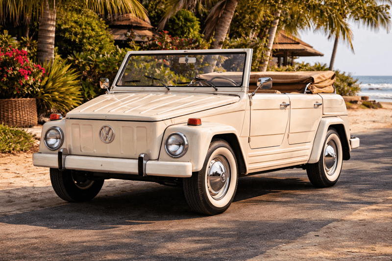 VW Safari